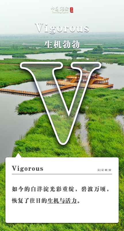 a9b52919b786daa7c199e78753e1019b_1211627473_16486295393921n.jpg a9b52919b786daa7c199e78753e1019b_1211627473_16486295393921n.jpg