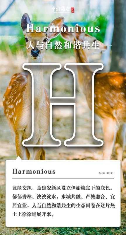 402f33d1710f0c8f2c330f058255d88f_1211627473_16486294099691n.jpg 402f33d1710f0c8f2c330f058255d88f_1211627473_16486294099691n.jpg