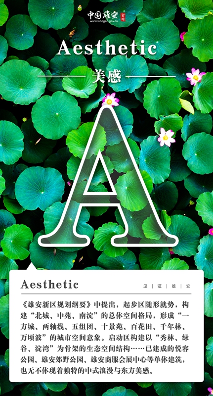 af835adeb020a8d8acb9345dc3fc11fc_1211627473_16486293203471n.jpg af835adeb020a8d8acb9345dc3fc11fc_1211627473_16486293203471n.jpg