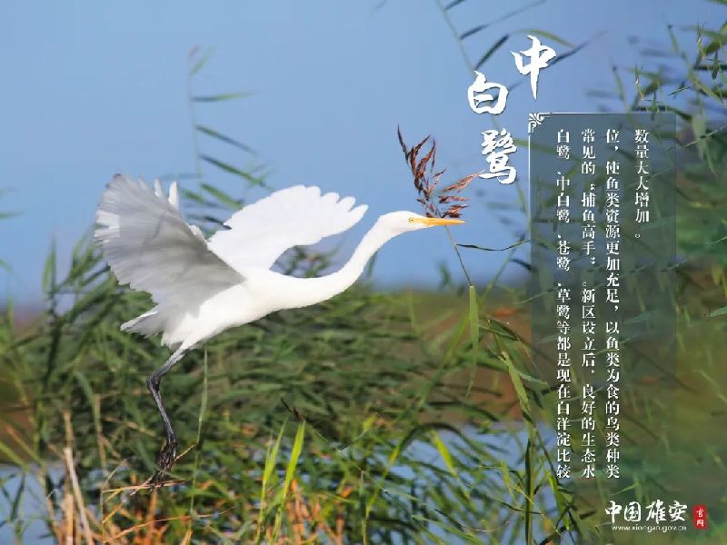 ee8fd26a9b430c8e205663a8c5beebce_1211625969_16485363000241n.jpg ee8fd26a9b430c8e205663a8c5beebce_1211625969_16485363000241n.jpg