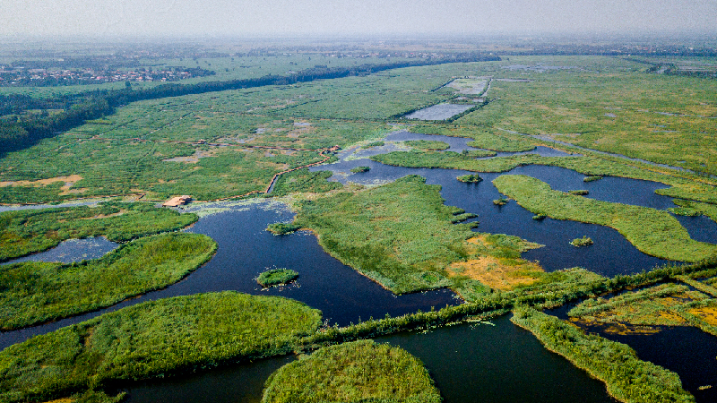 c93027231734f35b5642d6fcceb5e79e_1211625969_16485361216811n.jpg c93027231734f35b5642d6fcceb5e79e_1211625969_16485361216811n.jpg