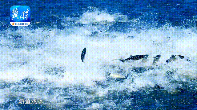 3cd3817be940f055afd3ca8ba6827a22_1211628393_16487014111381n.gif 3cd3817be940f055afd3ca8ba6827a22_1211628393_16487014111381n.gif