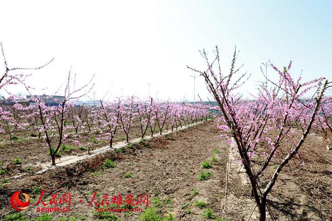 2e8dcc38dca0cb8c88babf1b7eb33596_LOCAL202204151821000251860087346.jpg 2e8dcc38dca0cb8c88babf1b7eb33596_LOCAL202204151821000251860087346.jpg