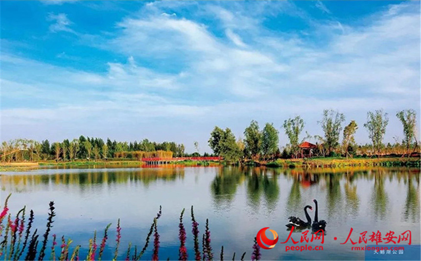 6f2775a1638a46182c7fe01c9ad1222e_LOCAL202204220811000529836014818.jpg 6f2775a1638a46182c7fe01c9ad1222e_LOCAL202204220811000529836014818.jpg