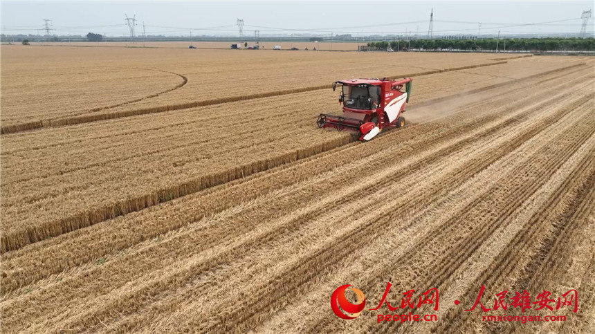 c7e6ee7dbcd09241cf83477894dcf925_LOCAL1655860979499XWXL9DJTHG.jpg c7e6ee7dbcd09241cf83477894dcf925_LOCAL1655860979499XWXL9DJTHG.jpg