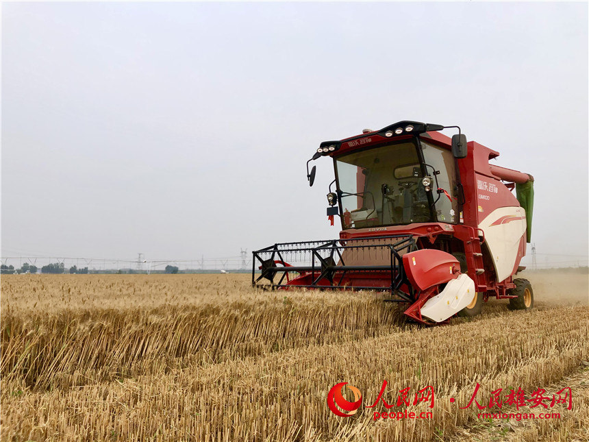 e471c268ce6268a0343da509149251ee_LOCAL1655861044510H62EGY6NHL.jpg e471c268ce6268a0343da509149251ee_LOCAL1655861044510H62EGY6NHL.jpg