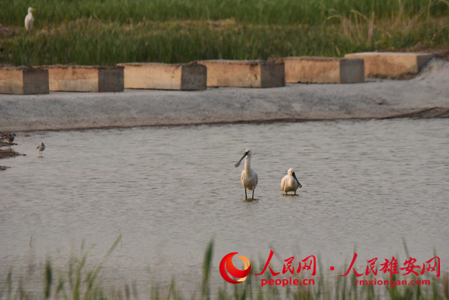 9fc3c0dadd936829ebfde2c4b4a95ff7_LOCAL1656162104671TVG8XGDKZ9.jpg 9fc3c0dadd936829ebfde2c4b4a95ff7_LOCAL1656162104671TVG8XGDKZ9.jpg