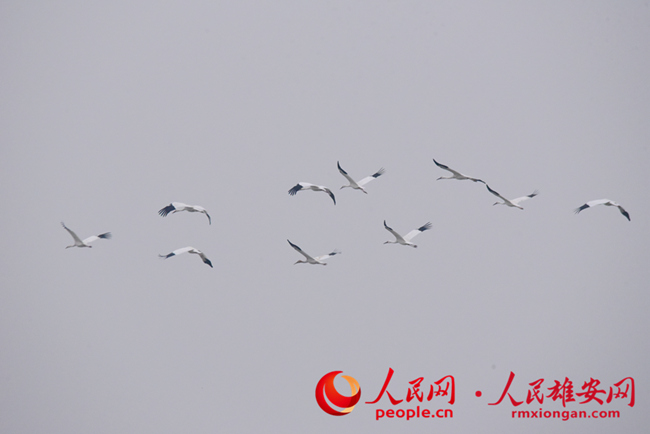 dd2cac8254581b61820b5a981e0a3e5b_LOCAL1656162045162GQHETVWC35.jpg dd2cac8254581b61820b5a981e0a3e5b_LOCAL1656162045162GQHETVWC35.jpg