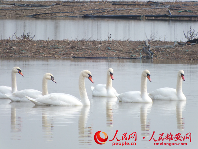 001870a3567a5f3b0168bfd7628a83f6_LOCAL16561620861899D10D59P88.jpg 001870a3567a5f3b0168bfd7628a83f6_LOCAL16561620861899D10D59P88.jpg