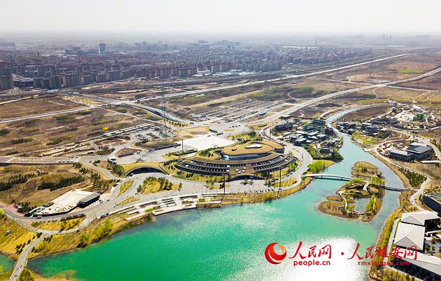 航拍雄安郊野公園。人民網(wǎng)宋燁文攝