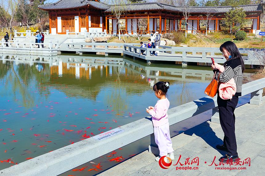 雄安悅?cè)莨珗@一角，不少家長帶著孩子前來游玩。人民網(wǎng)宋燁文攝