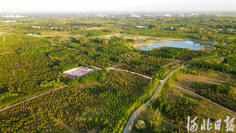 e84e635589c6c45bdb806a8552e3a026_1212365579_17166005914511n.jpg e84e635589c6c45bdb806a8552e3a026_1212365579_17166005914511n.jpg