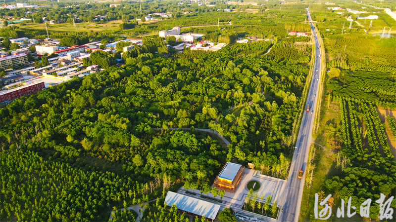 6ec9745b66b4e8f24e05dc3715aa3a9f_1212365579_17166006041891n.jpg 6ec9745b66b4e8f24e05dc3715aa3a9f_1212365579_17166006041891n.jpg