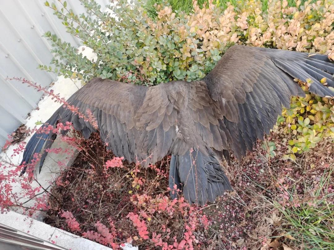 30b304a74579f77bb68d838c1a62dfa.jpg 30b304a74579f77bb68d838c1a62dfa.jpg